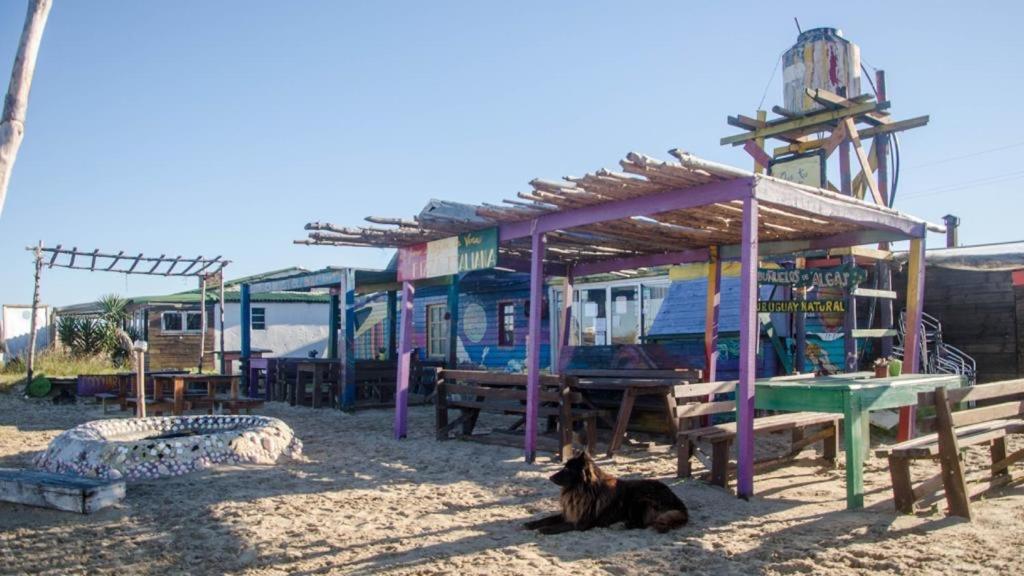 Lobo Hostel Bar Cabo Polonio Esterno foto